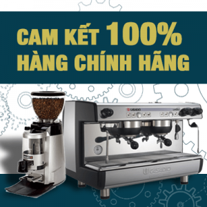 MÁY PHA CÀ PHÊ NHẬP KHẨU